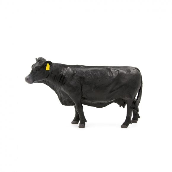 Little Buster Angus Cow