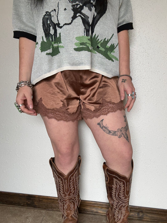 Brisbee Brown Lace Shorts