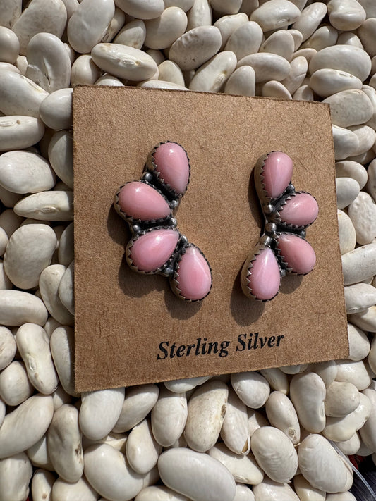 Pink Conch 4 Stone Crawler
