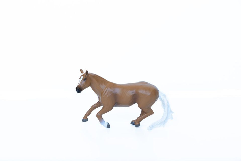 Palomino Gelding Barrel Horse