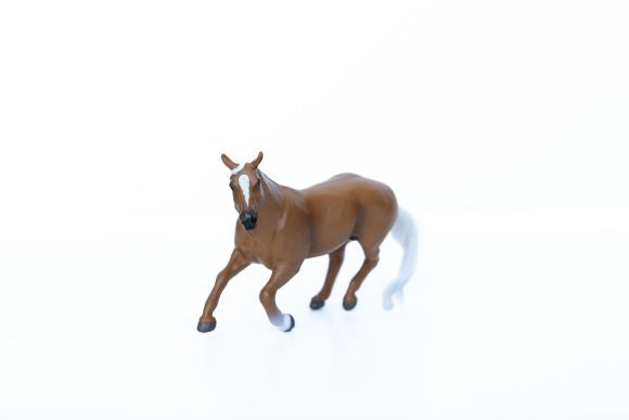 Palomino Gelding Barrel Horse