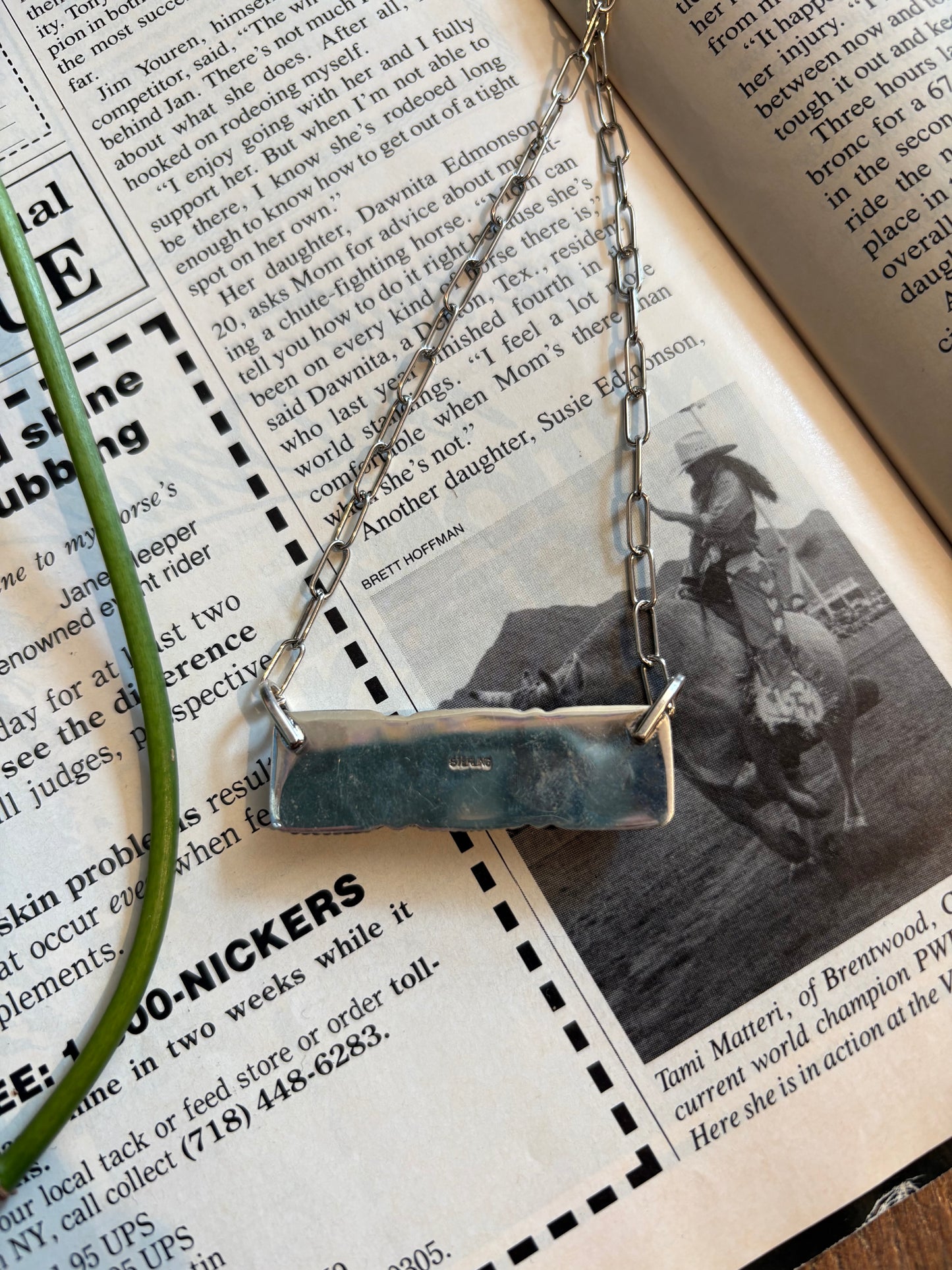 Purple Spiny Bar Necklace