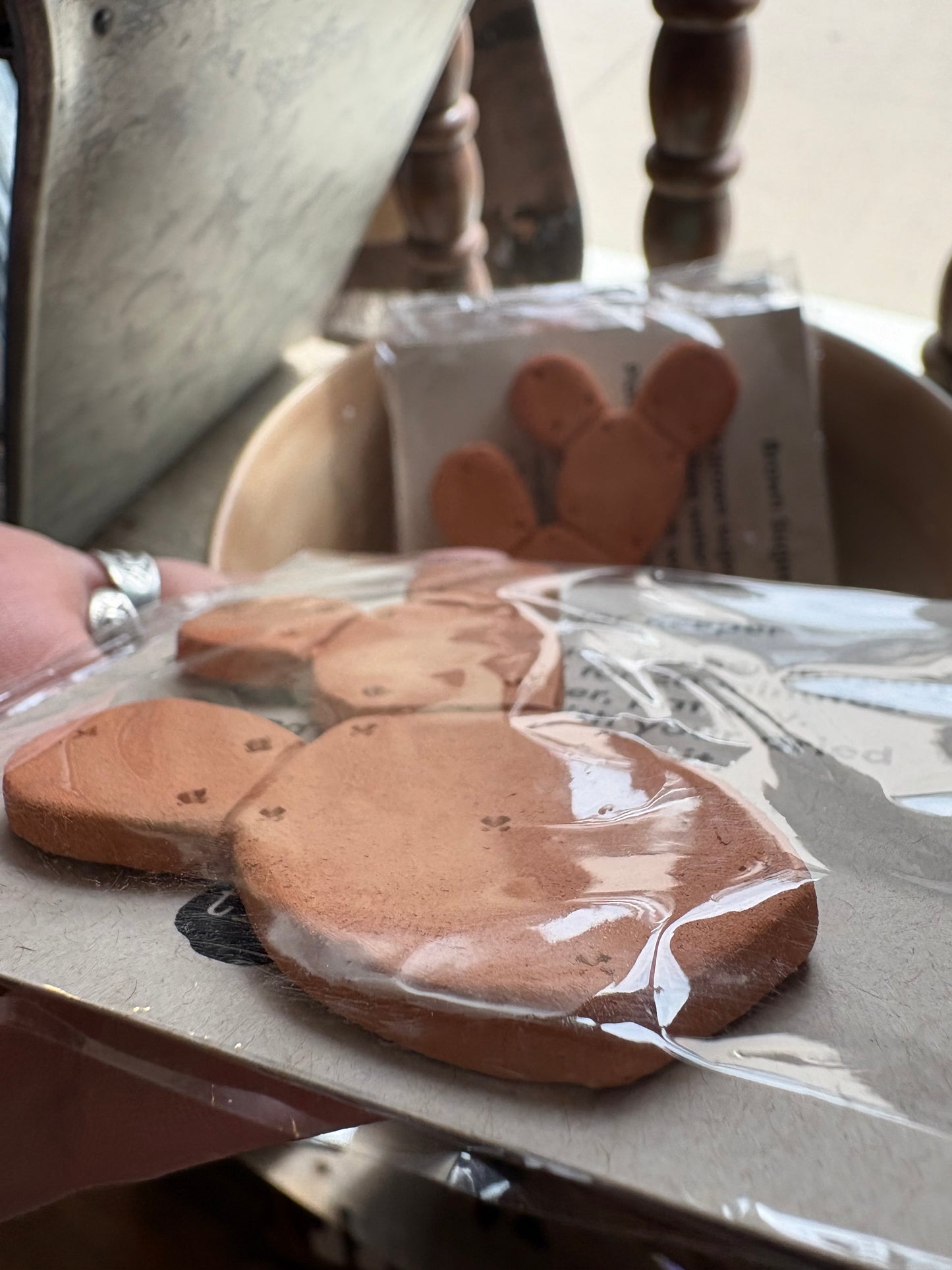 Brown Sugar Keepers *Prickly Pear