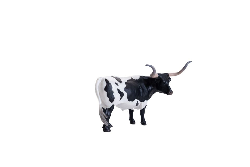 Little Buster Black & White Longhorn