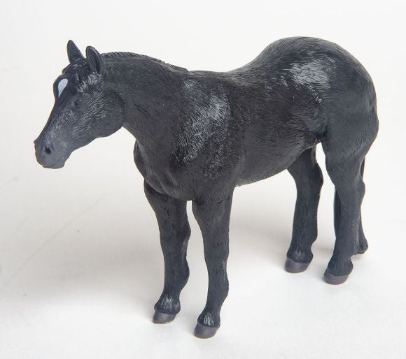 Little Buster Black Quarter Horse