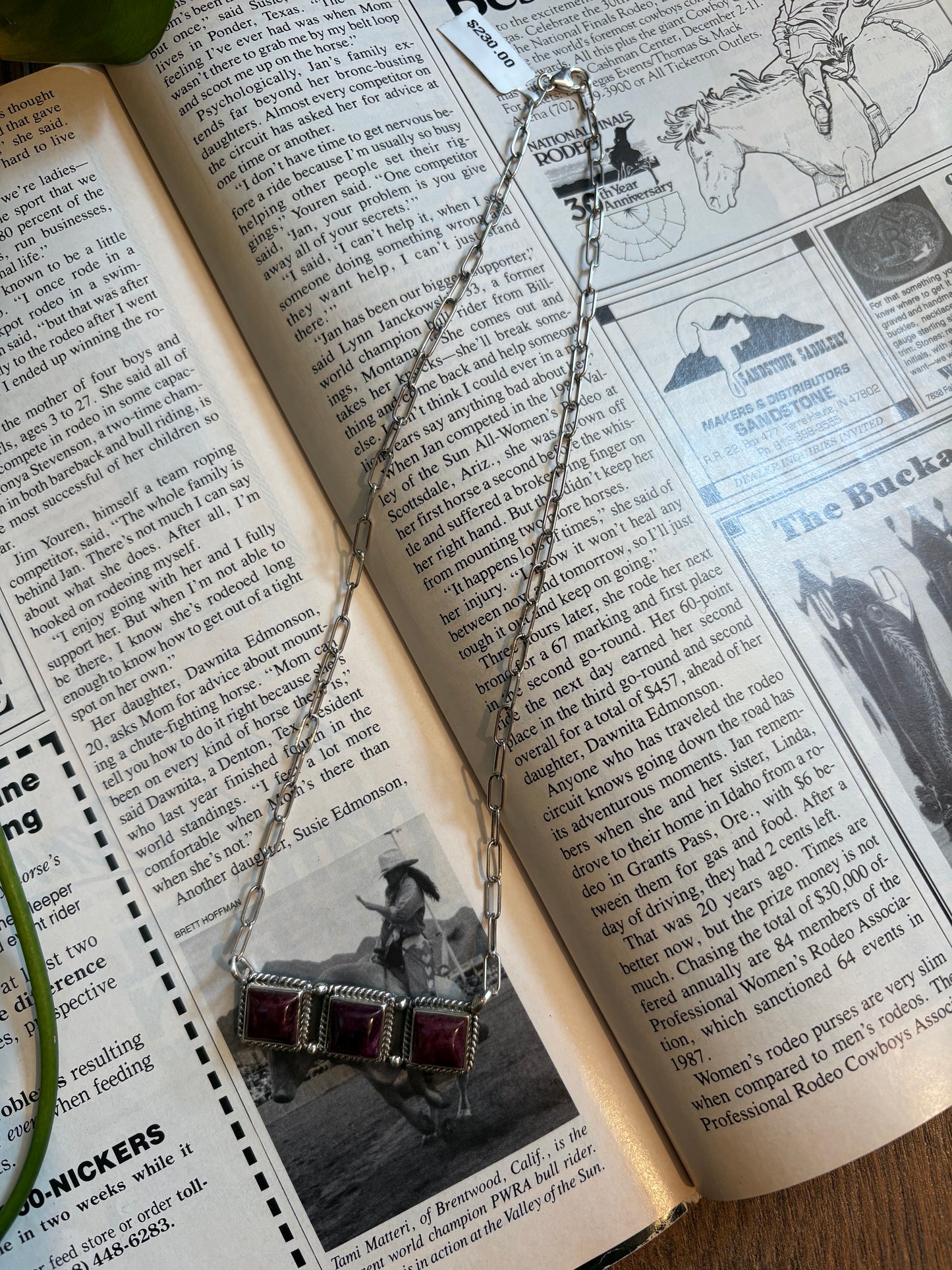 Purple Spiny Bar Necklace