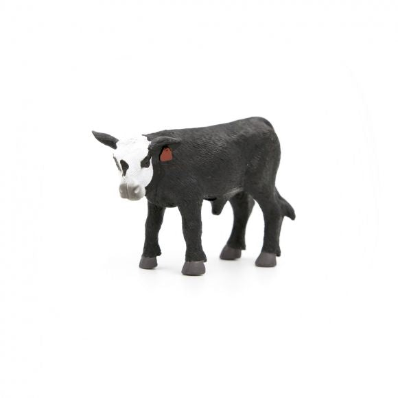 Little Buster Baldie Calf
