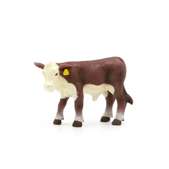 Little Buster Hereford Calf PRE-ORDER