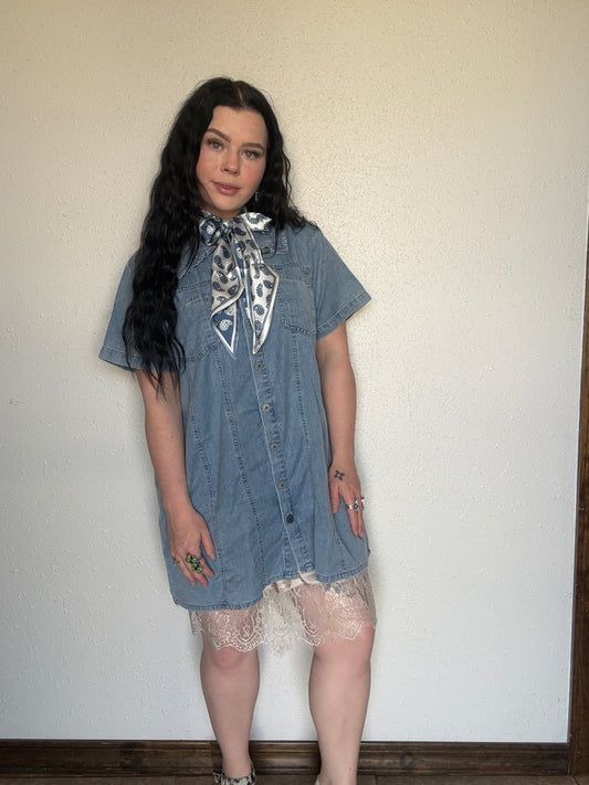 High Plains Denim Dress