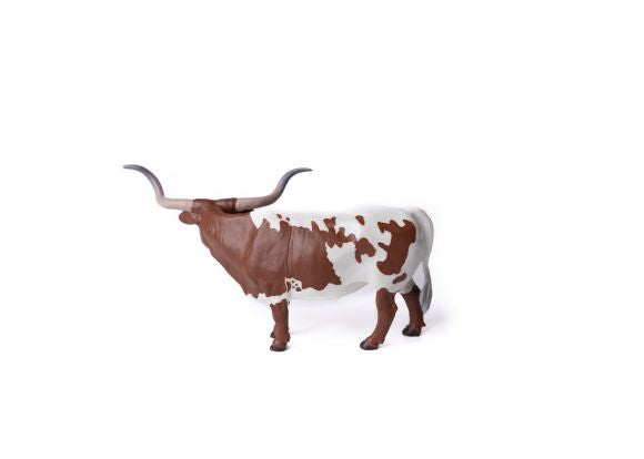 Little Buster Brown & White Longhorn