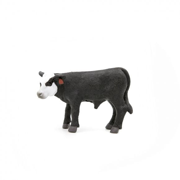 Little Buster Baldie Calf