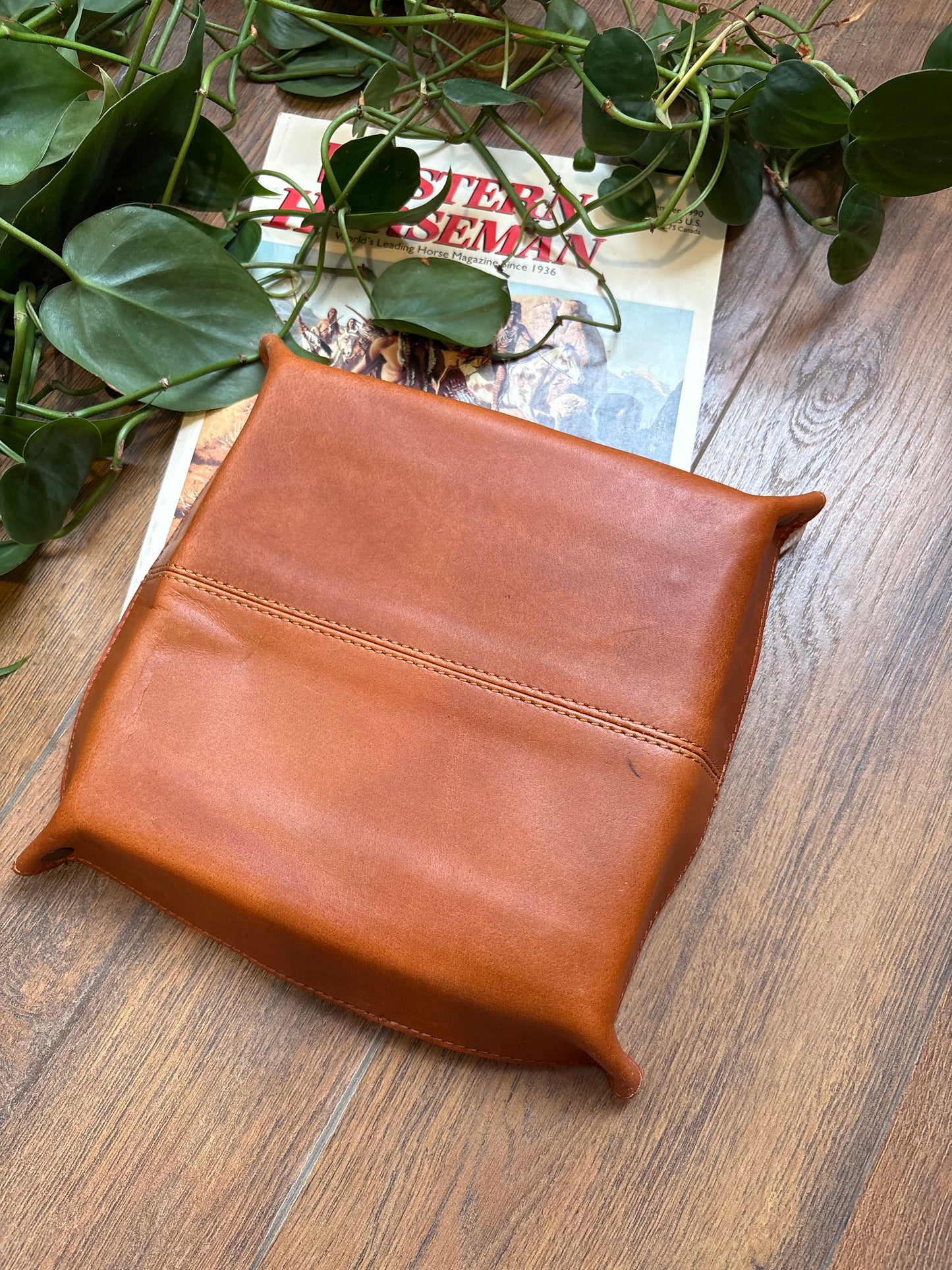 Serape Leather Tray