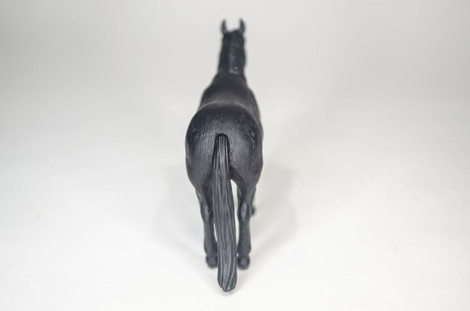 Little Buster Black Quarter Horse
