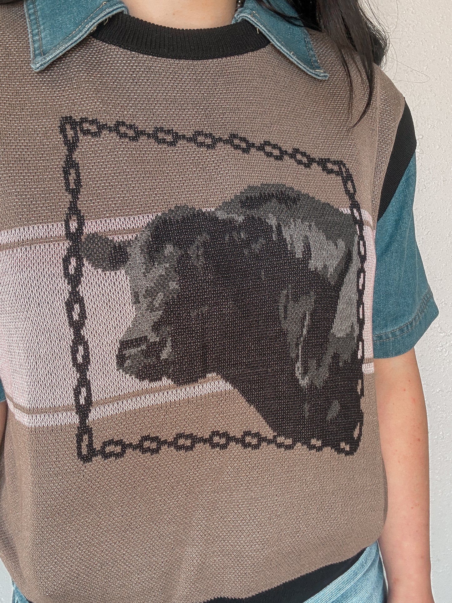 The Bowie Bull Sweater Vest