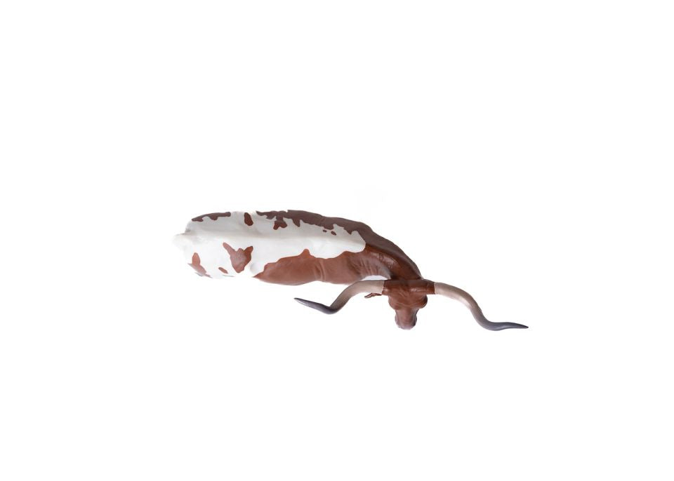 Little Buster Brown & White Longhorn