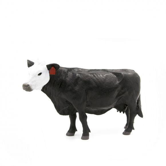 Little Buster Baldie Cow
