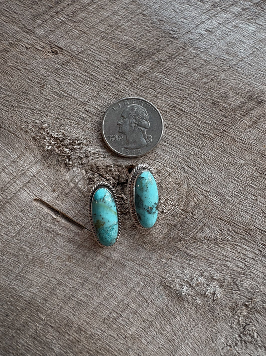Turquoise Oval Posts