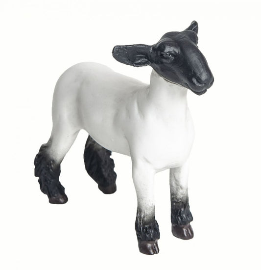Champion Crossbred Market Lamb PRE-ORDER