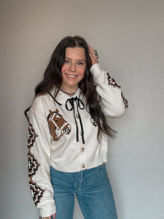 Pretty Little Pony Cardigan