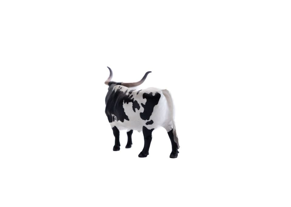 Little Buster Black & White Longhorn