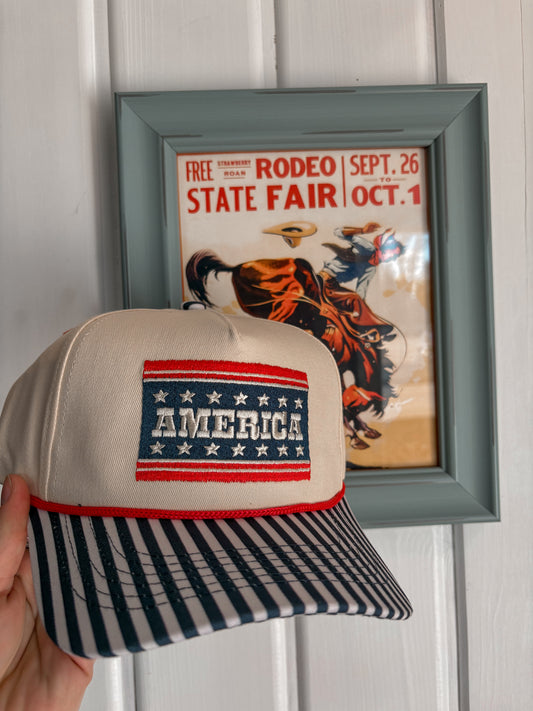 America Embroidered Pinstriped Hat