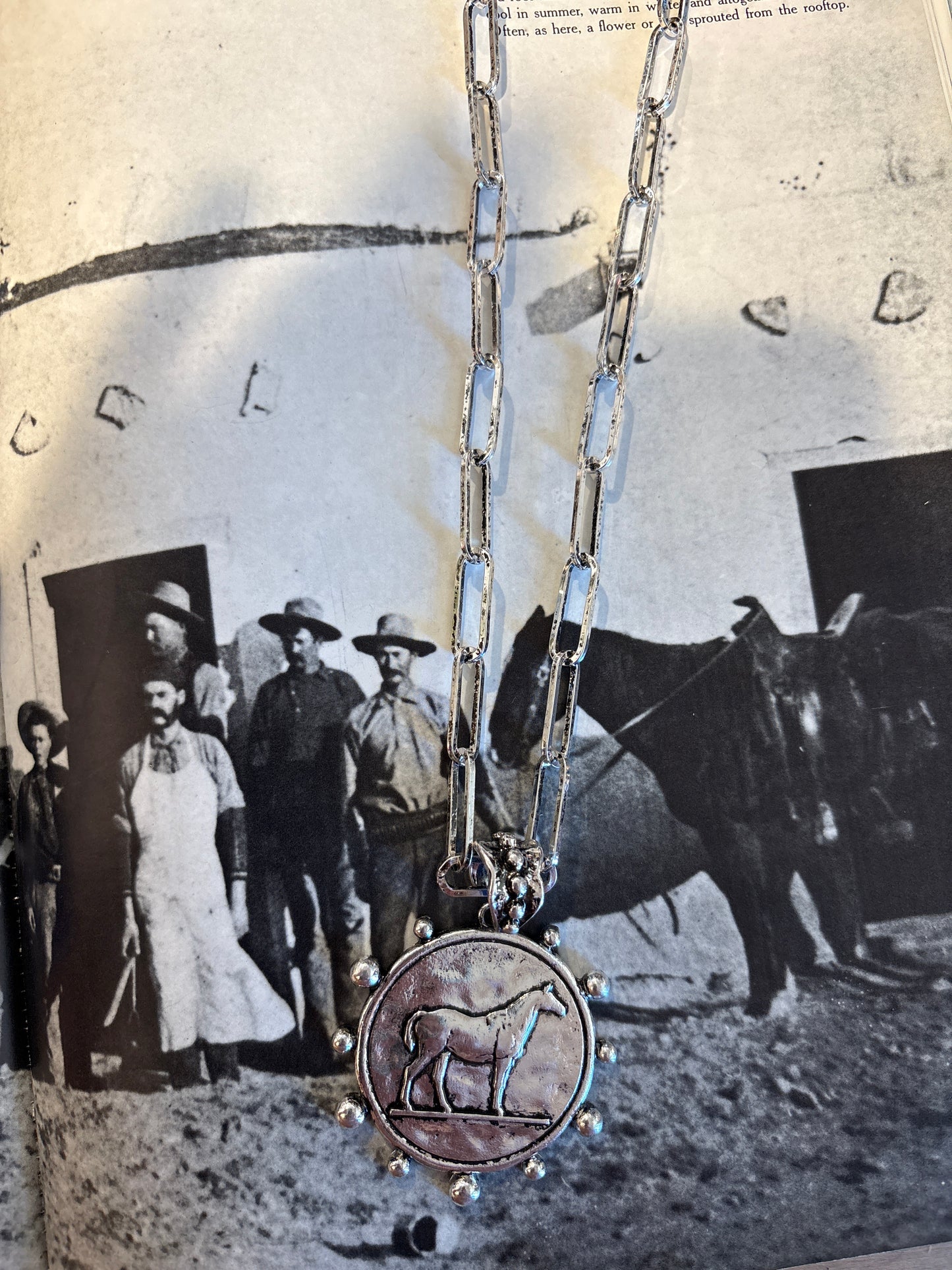 Western Horse Coin Necklace & Earrings