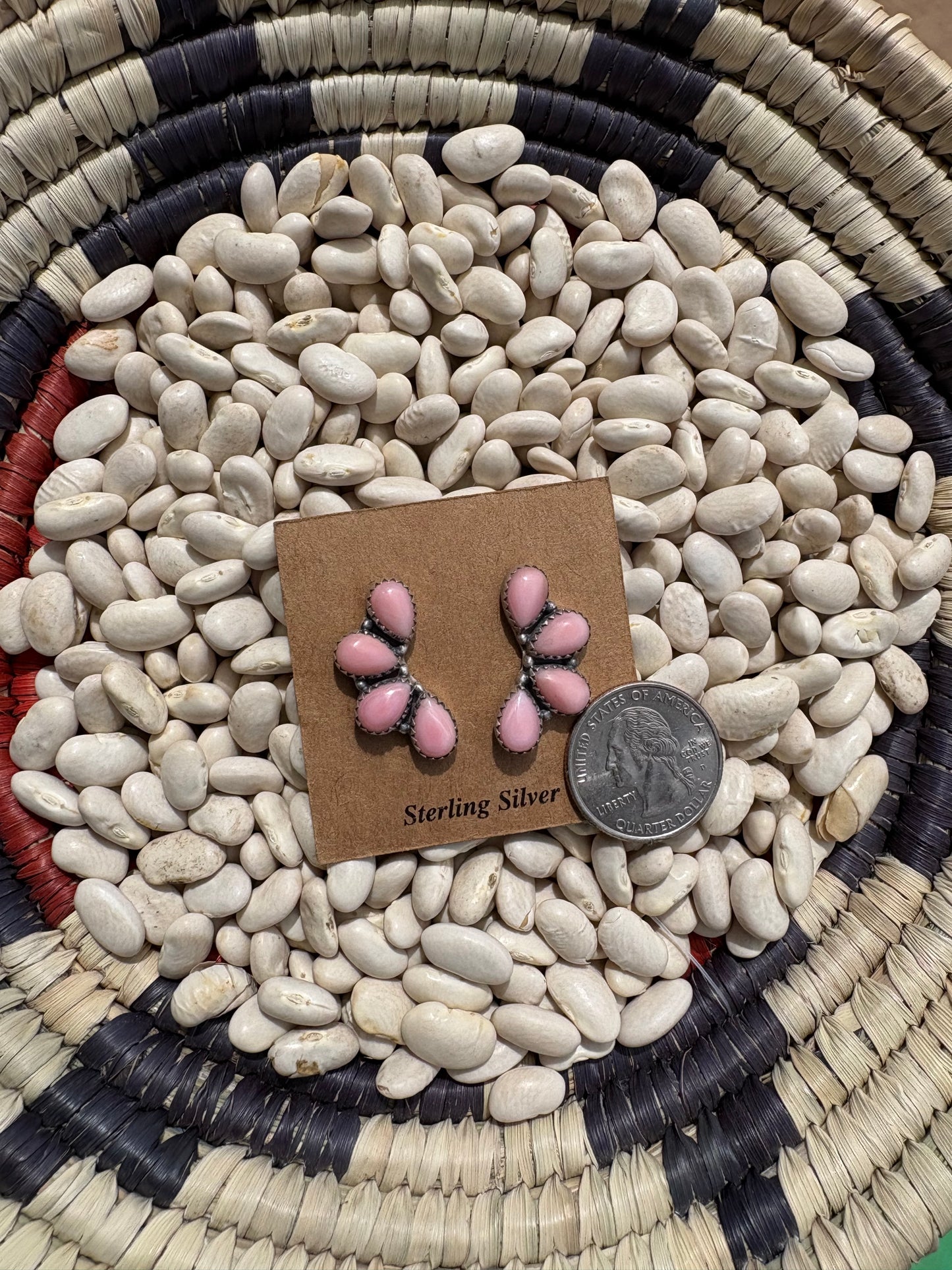 Pink Conch 4 Stone Crawler