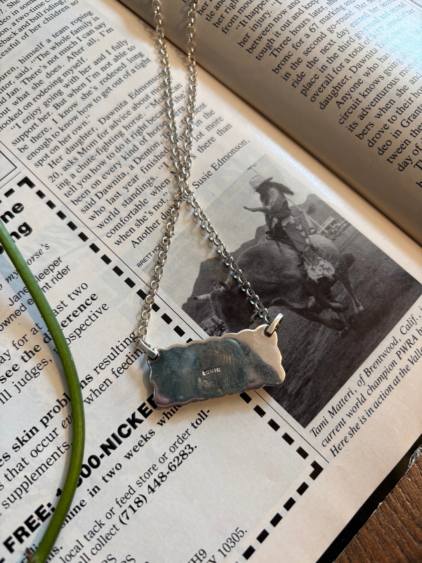 Snake Eye Turquoise Bar Necklace