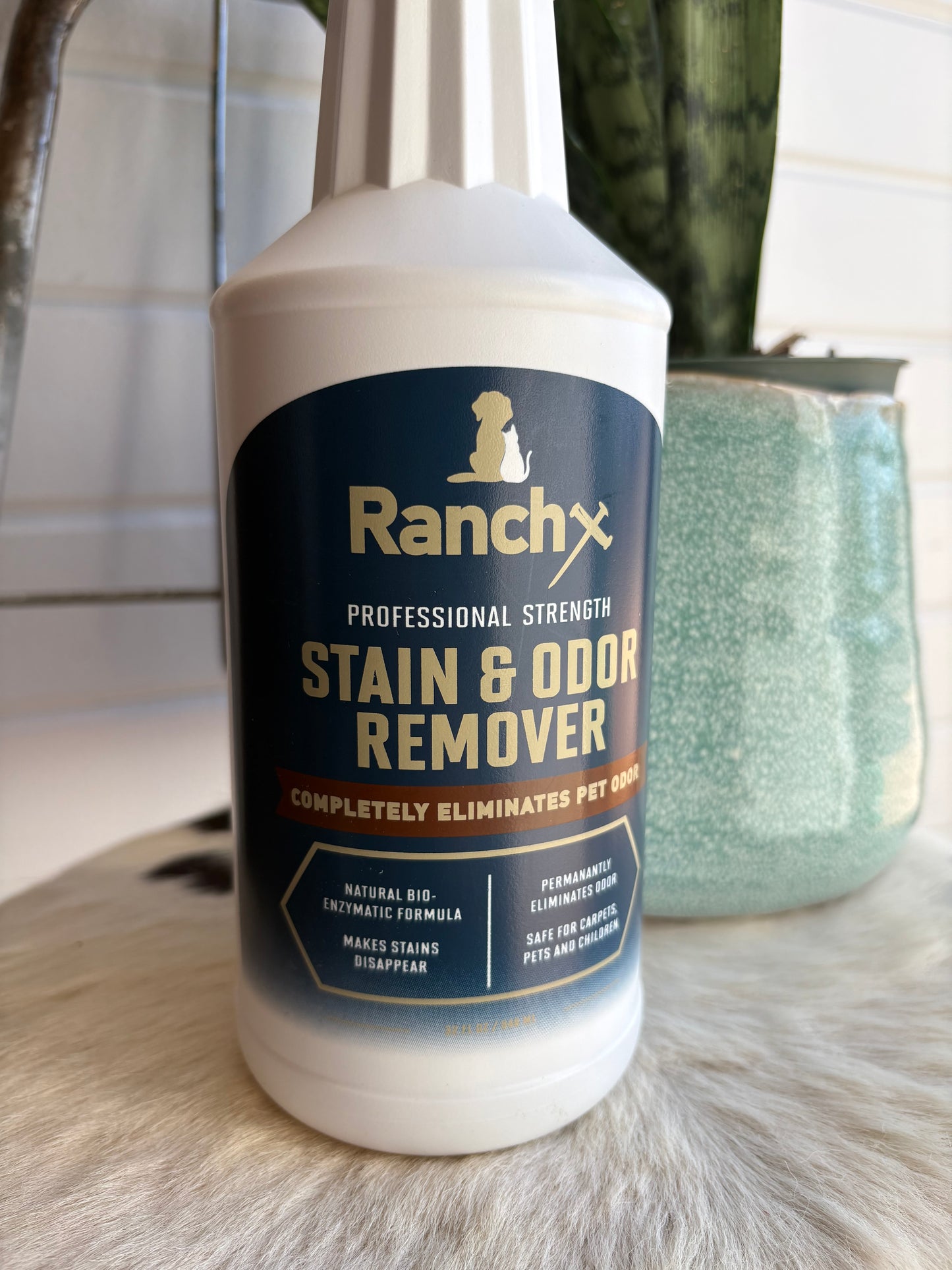 Ranch X Pet & Stain Remover
