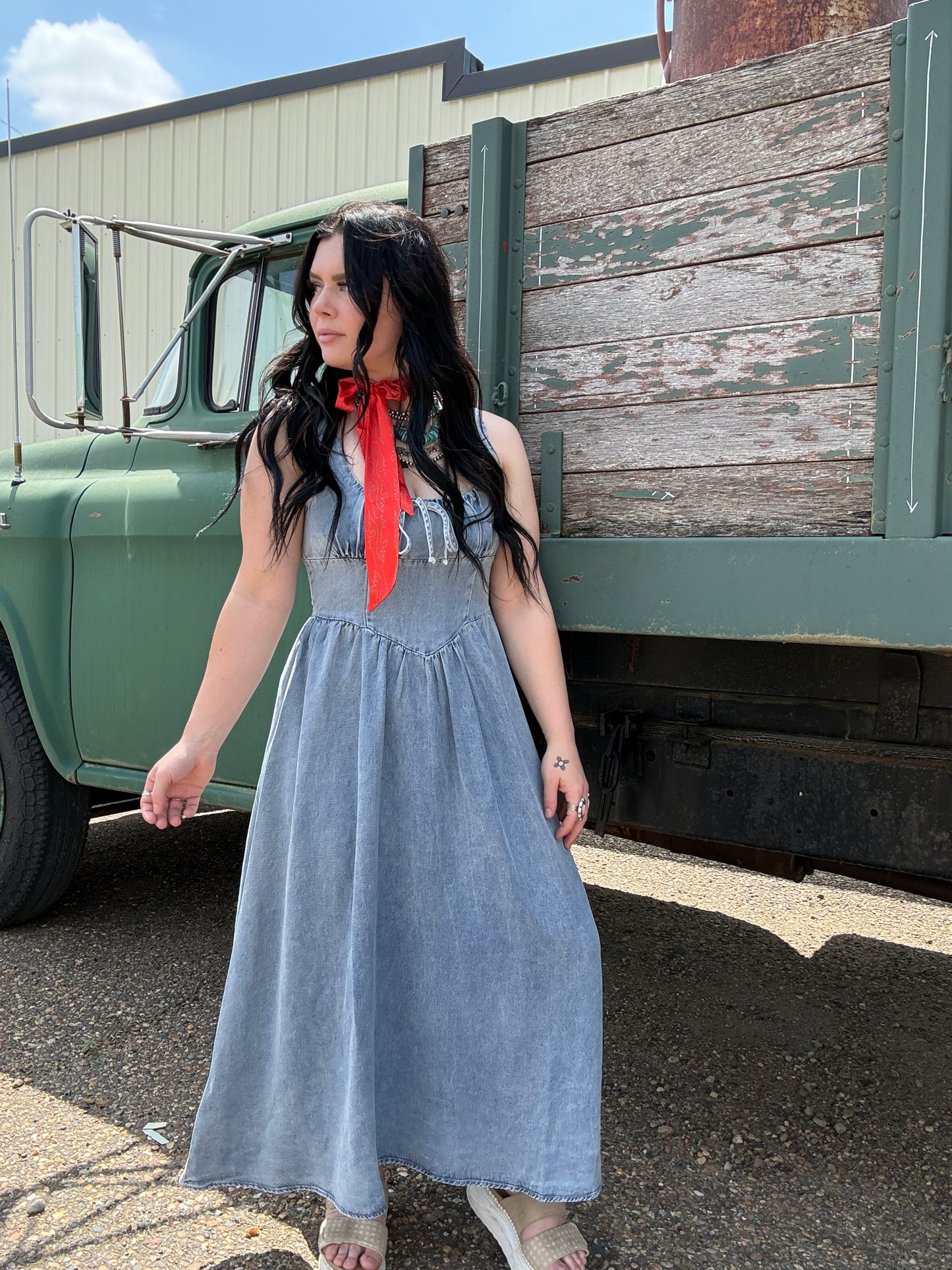 The Firework Denim Dress