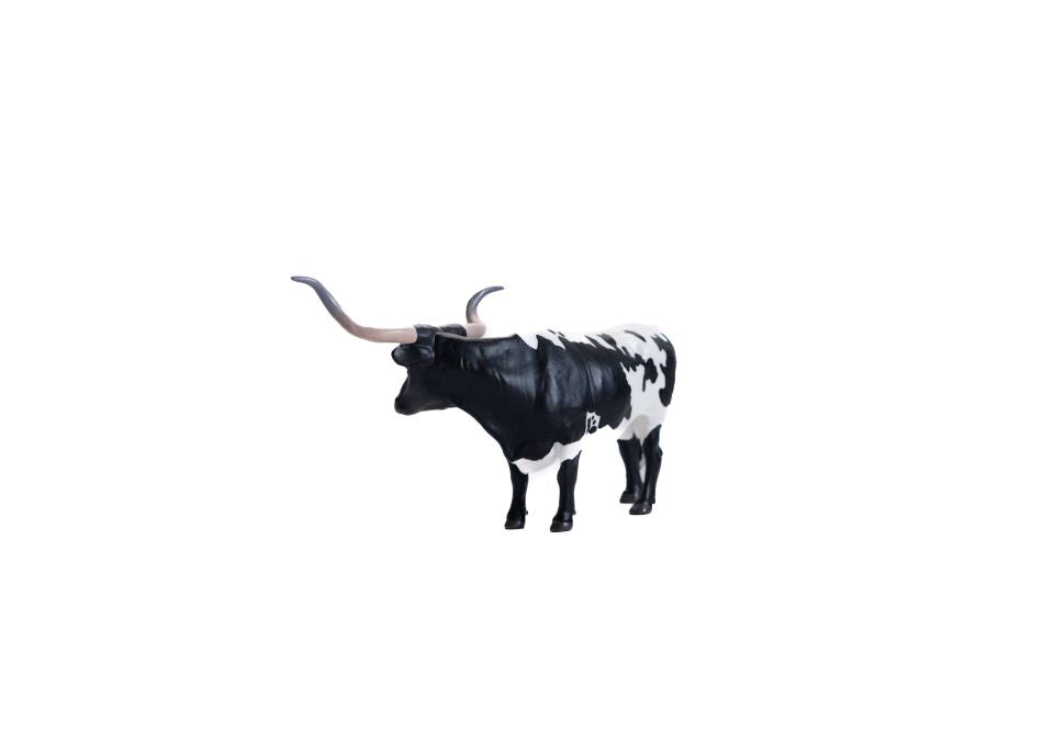 Little Buster Black & White Longhorn