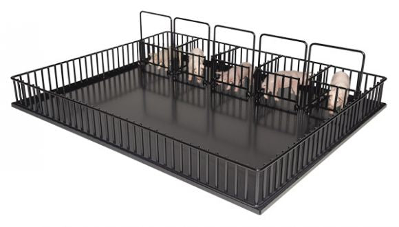 Hog Show Pen PRE-ORDER
