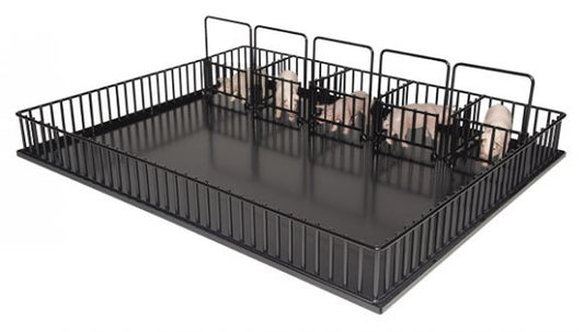 Hog Show Pen PRE-ORDER