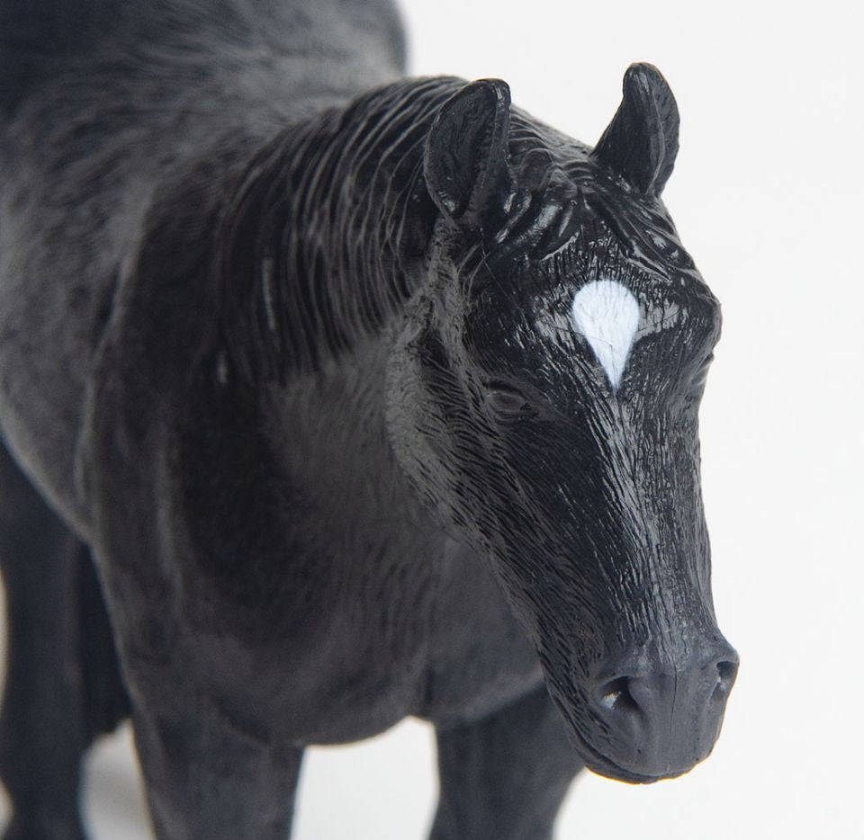 Little Buster Black Quarter Horse