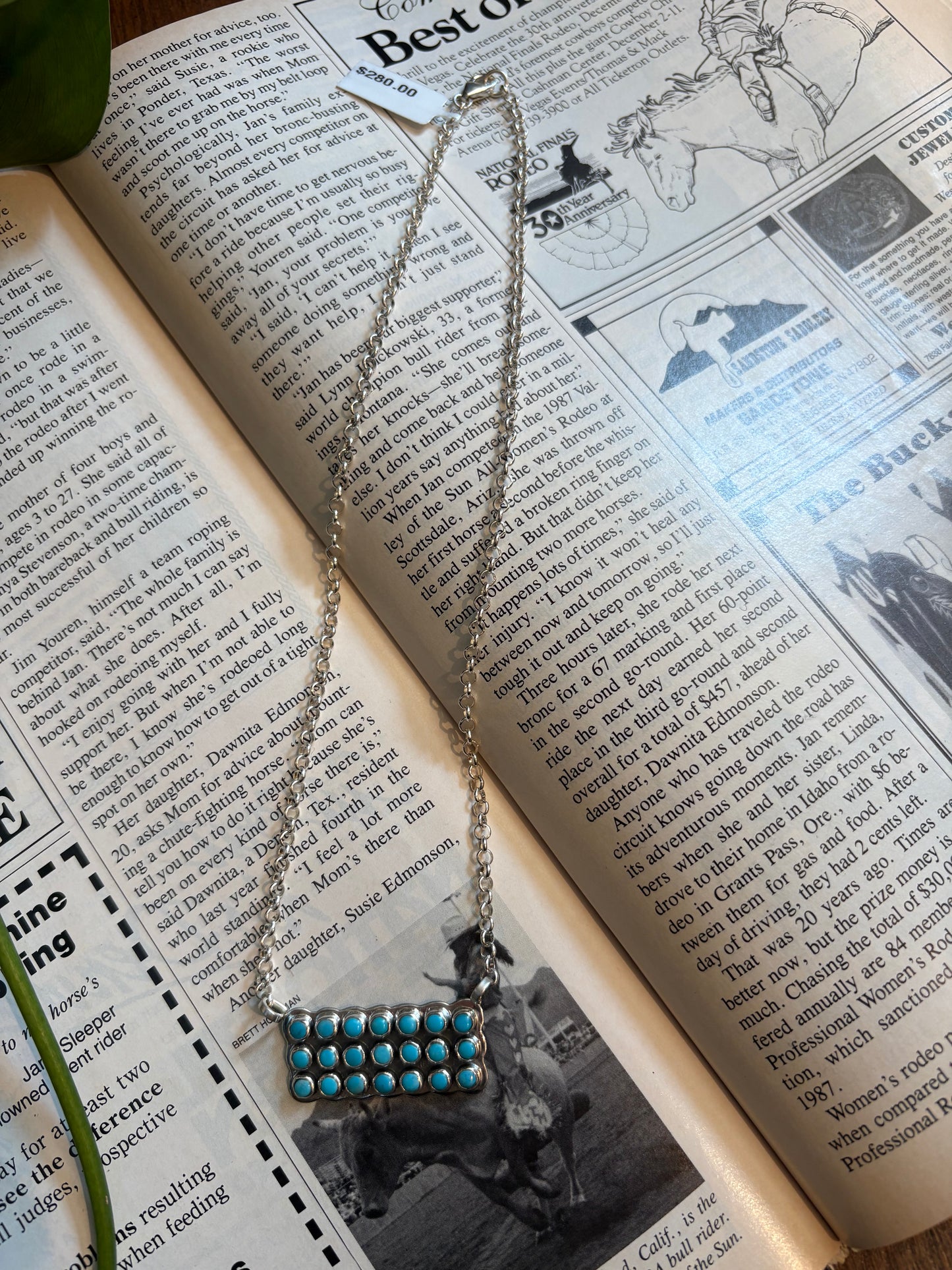 Snake Eye Turquoise Bar Necklace