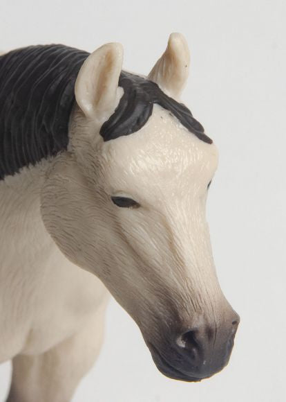 Little Buster Buckskin Quarter Horse