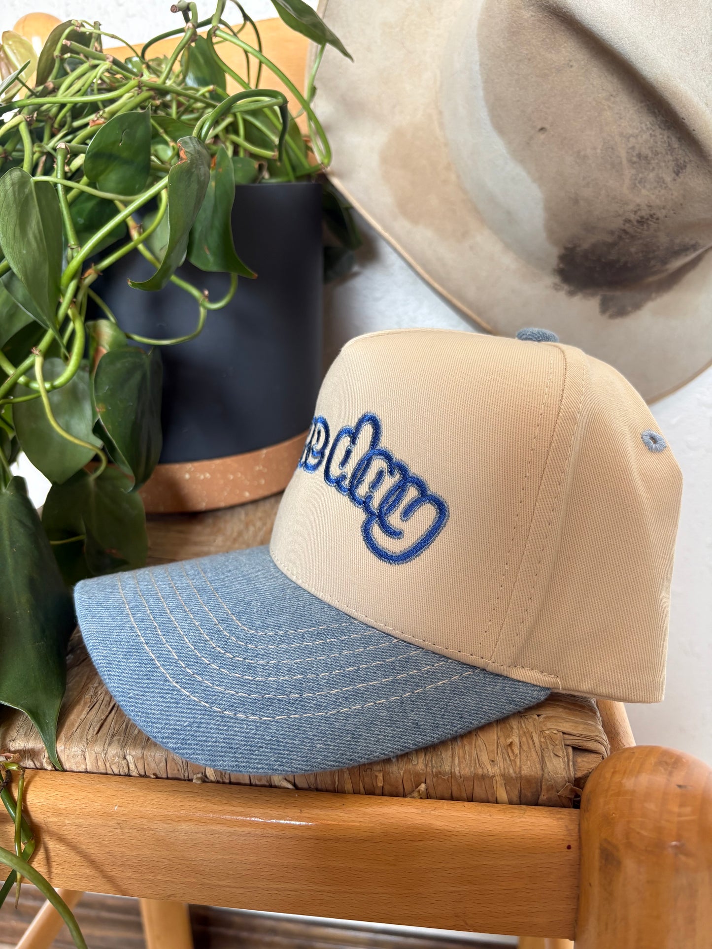 Lake Day Embroidered Trucker Hat