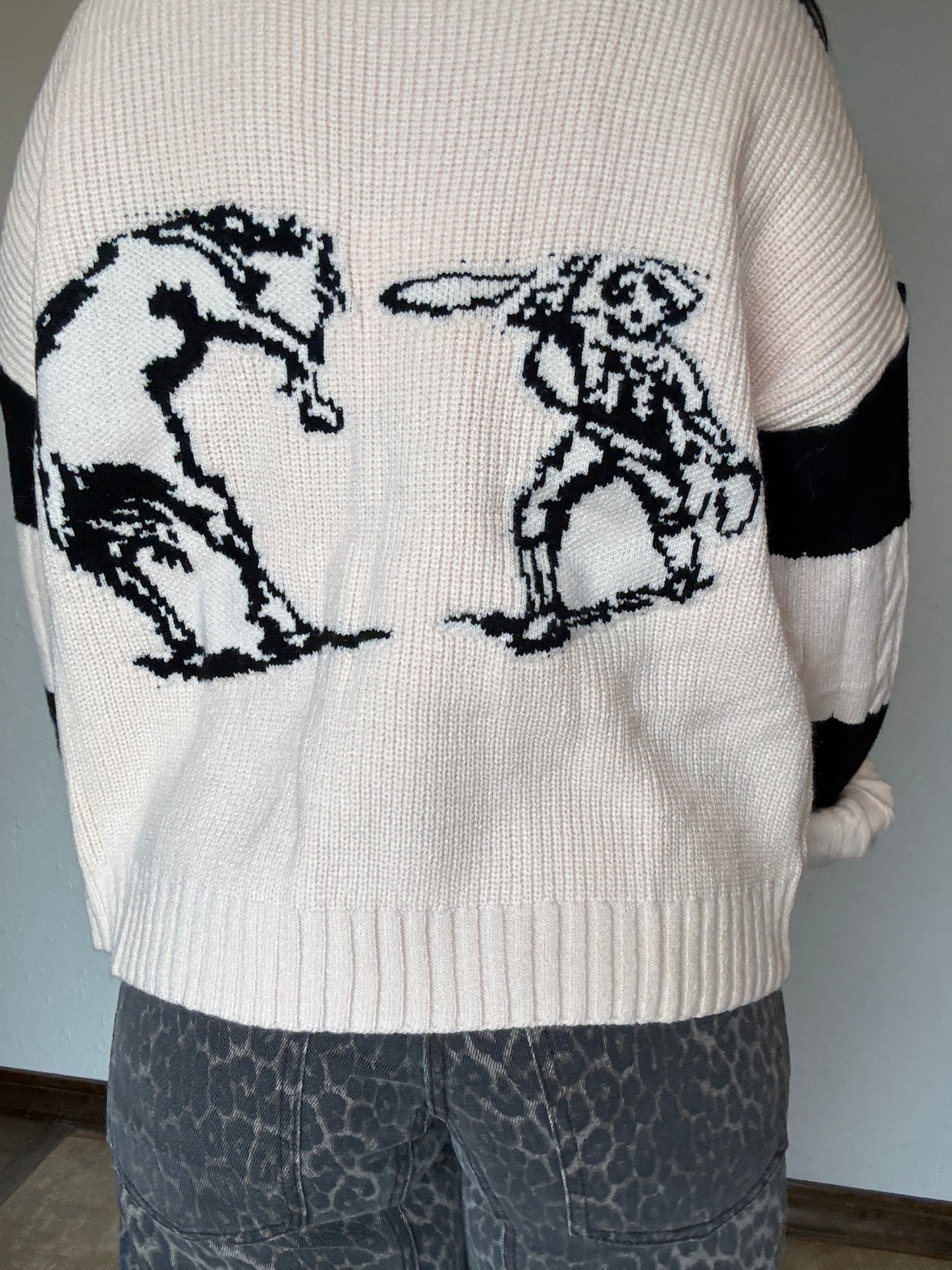 Wild Ones Zip Sweater