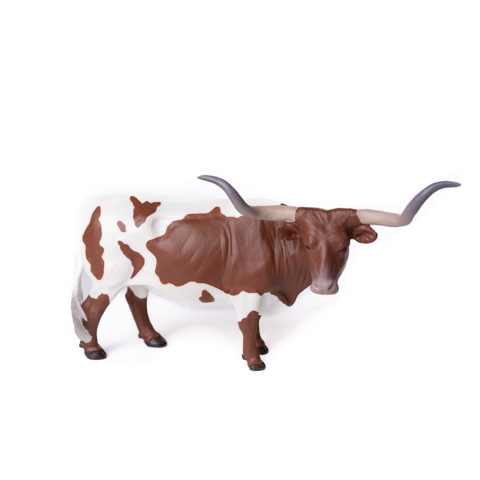 Little Buster Brown & White Longhorn