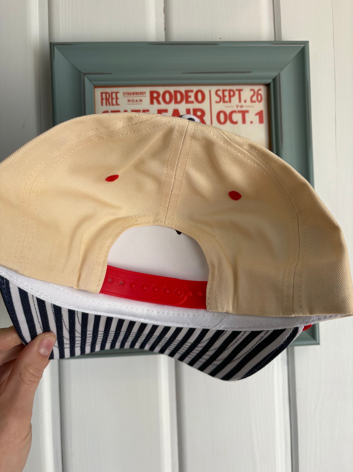America Embroidered Pinstriped Hat