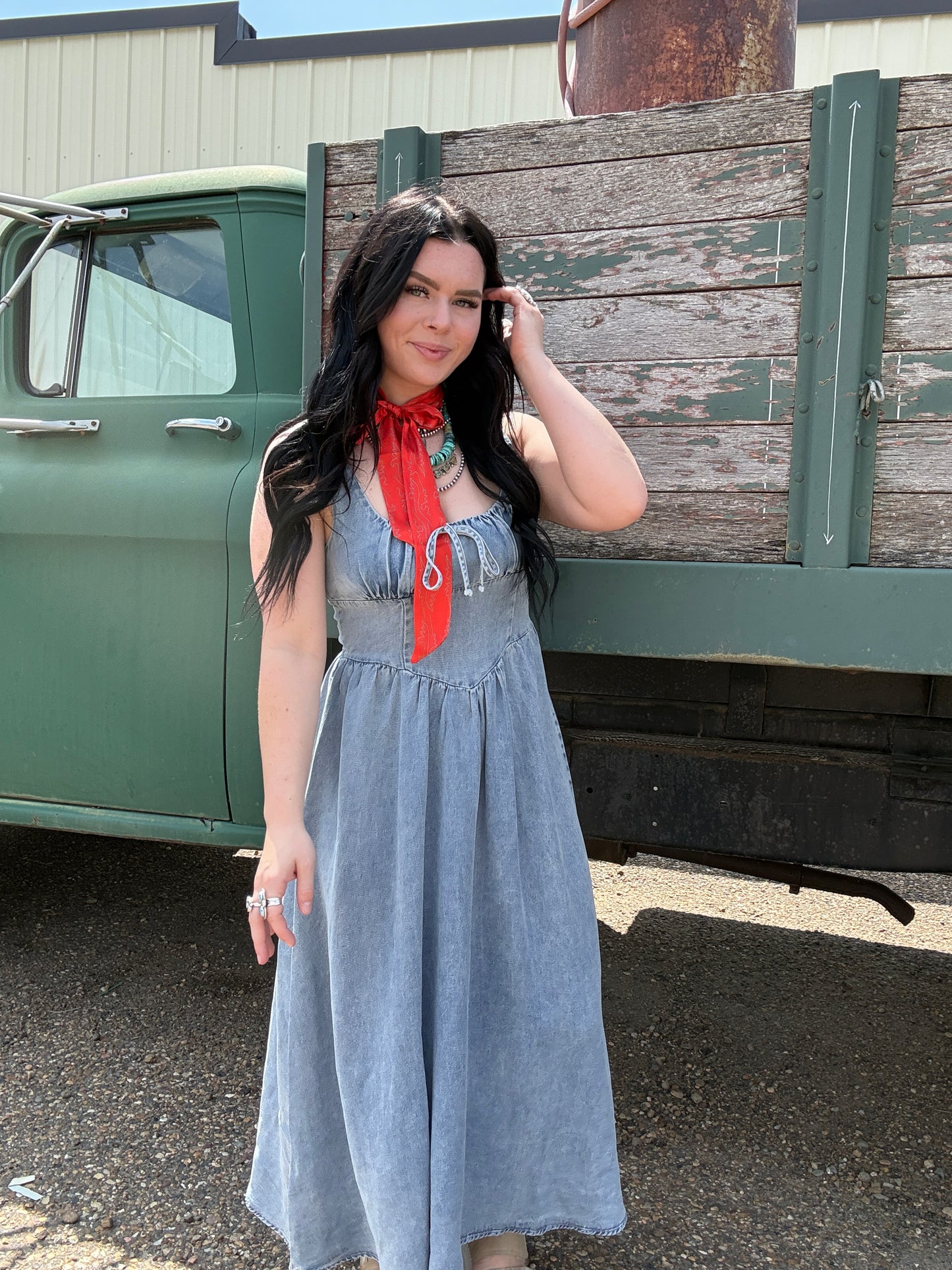 The Firework Denim Dress