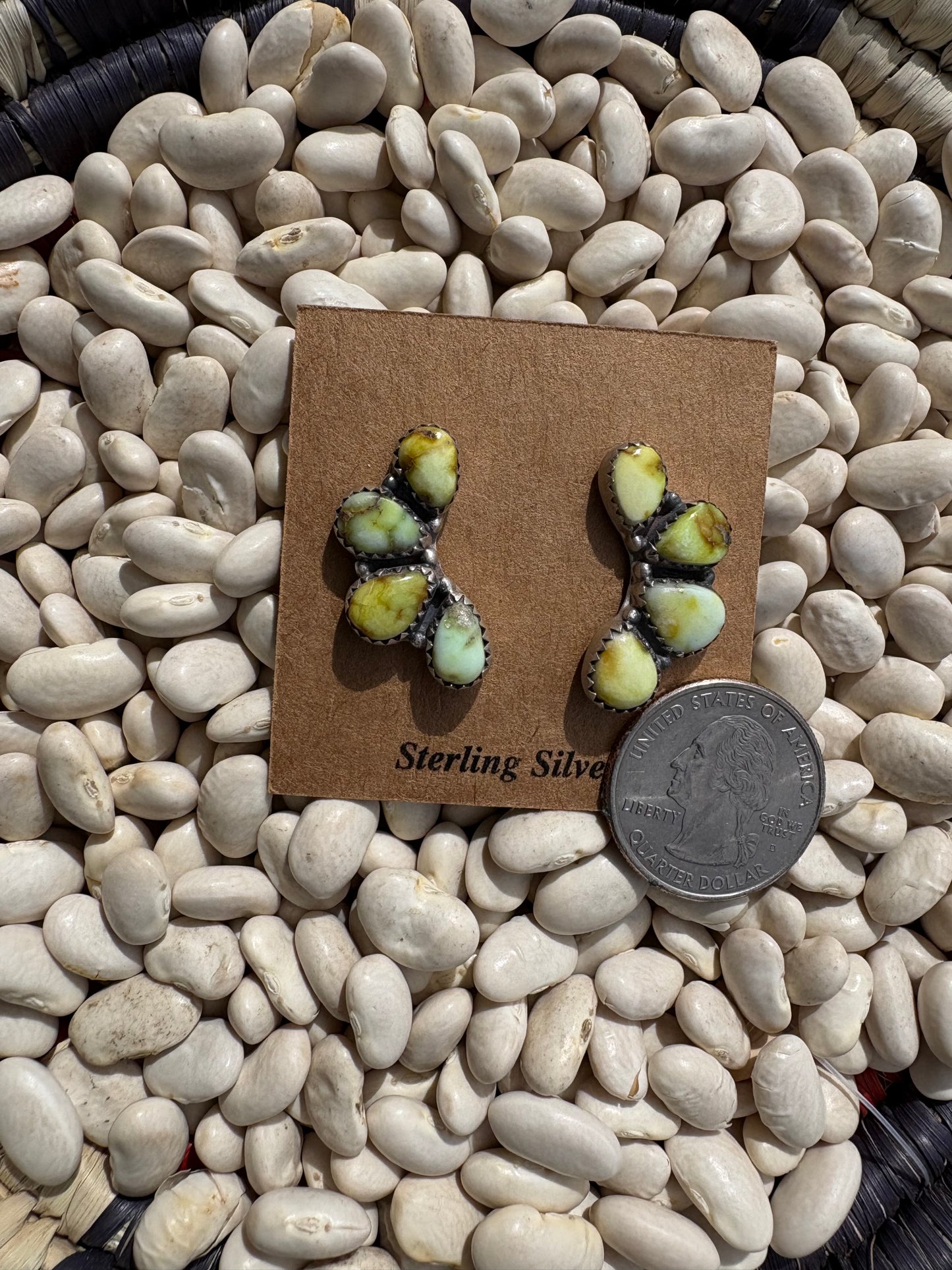 Palomino 4 Stone Crawler