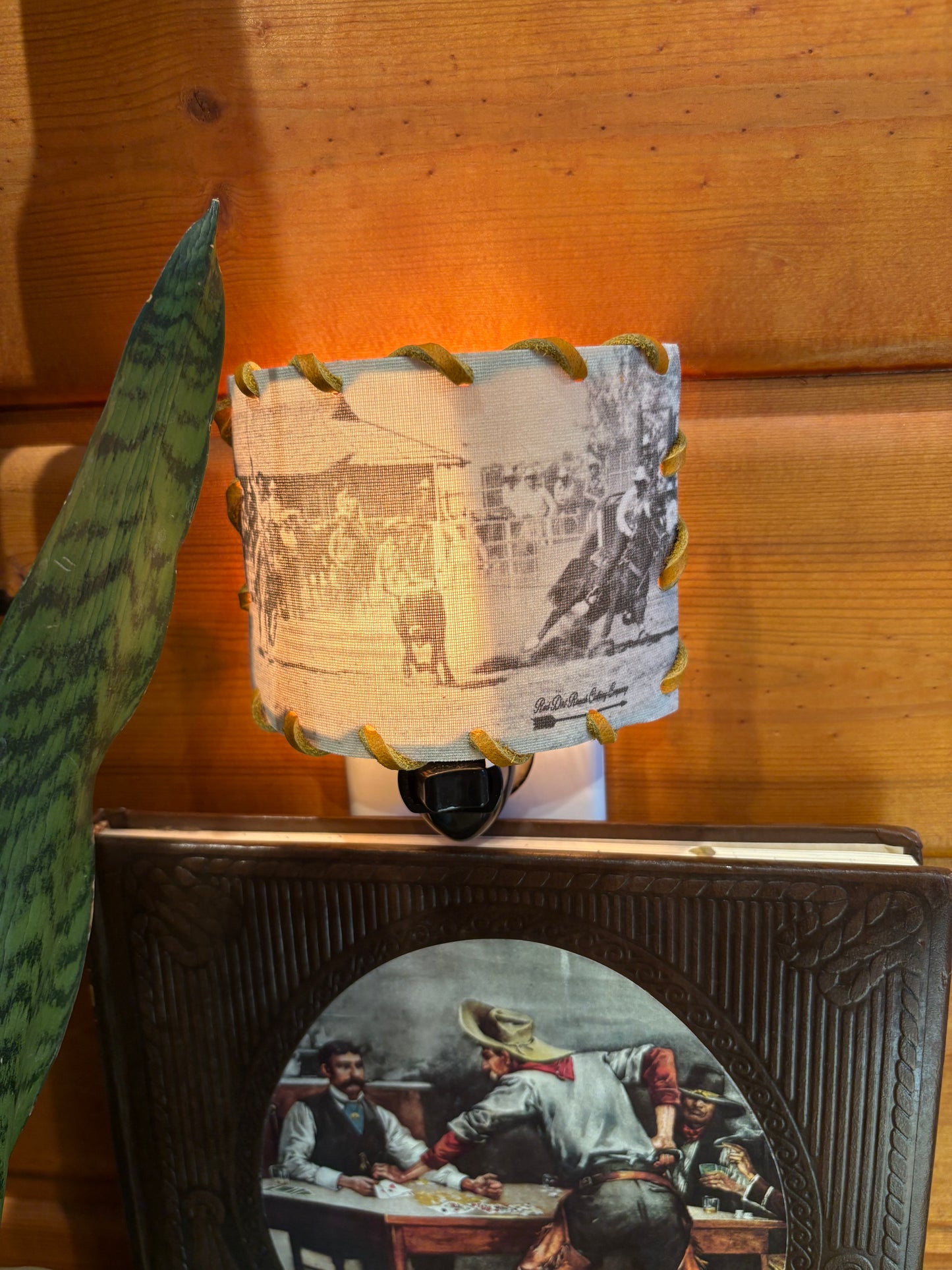 Western Night Light *Team Roper