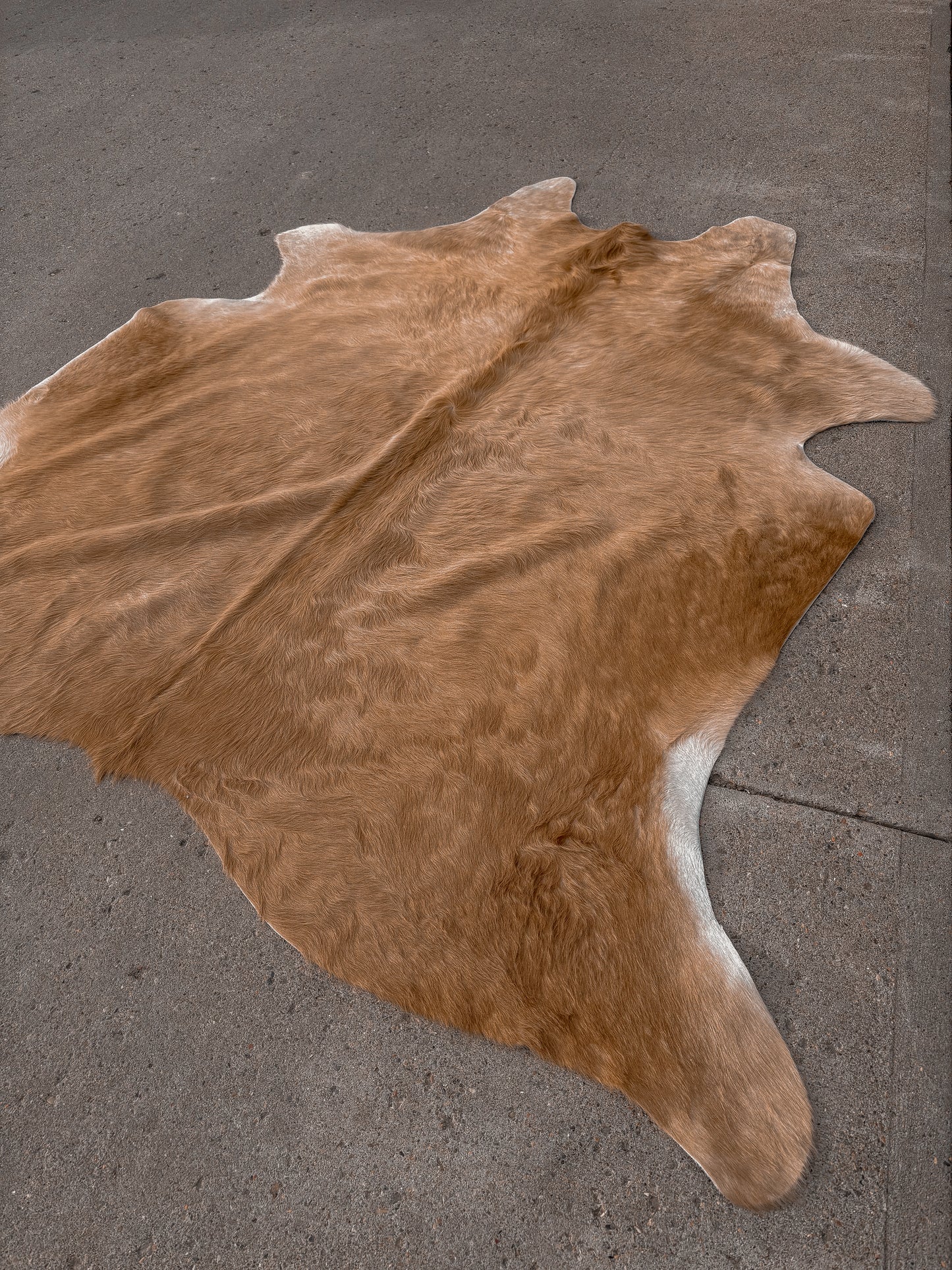 6.5ft Cowhide Rug