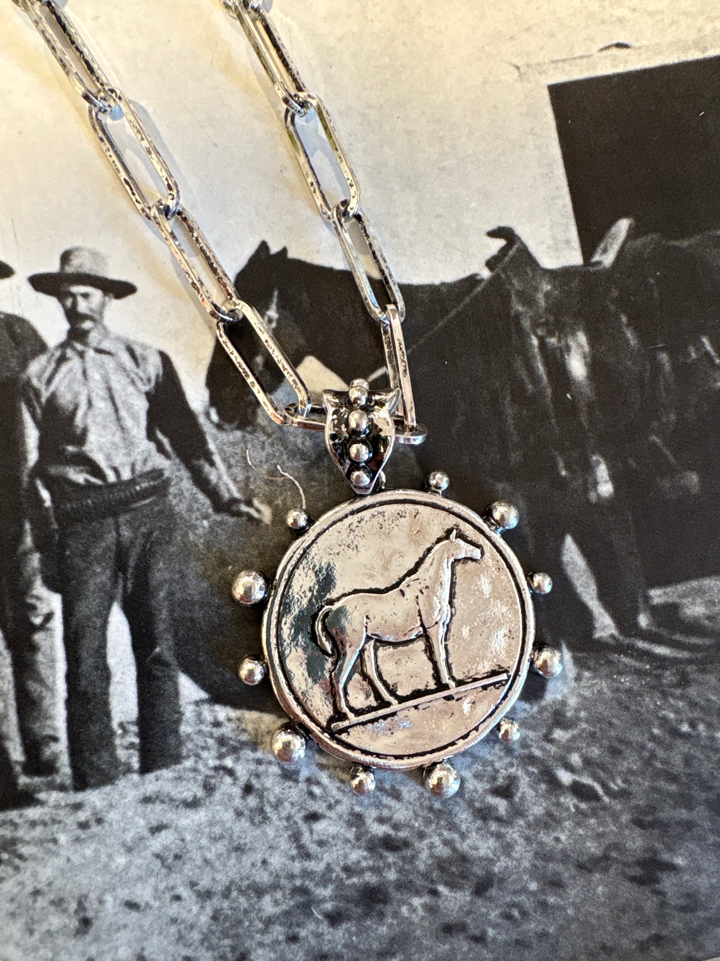 Western Horse Coin Necklace & Earrings