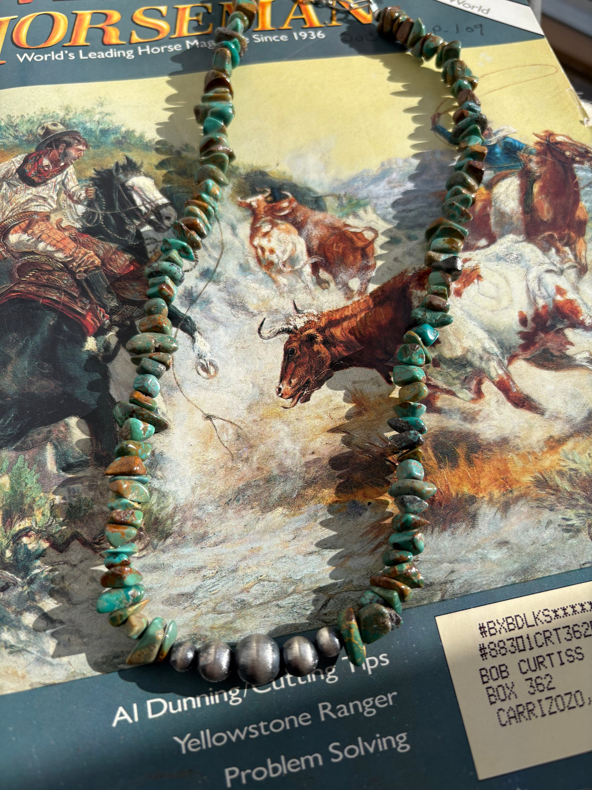 Turquoise Chip & Sterling Bead Necklace