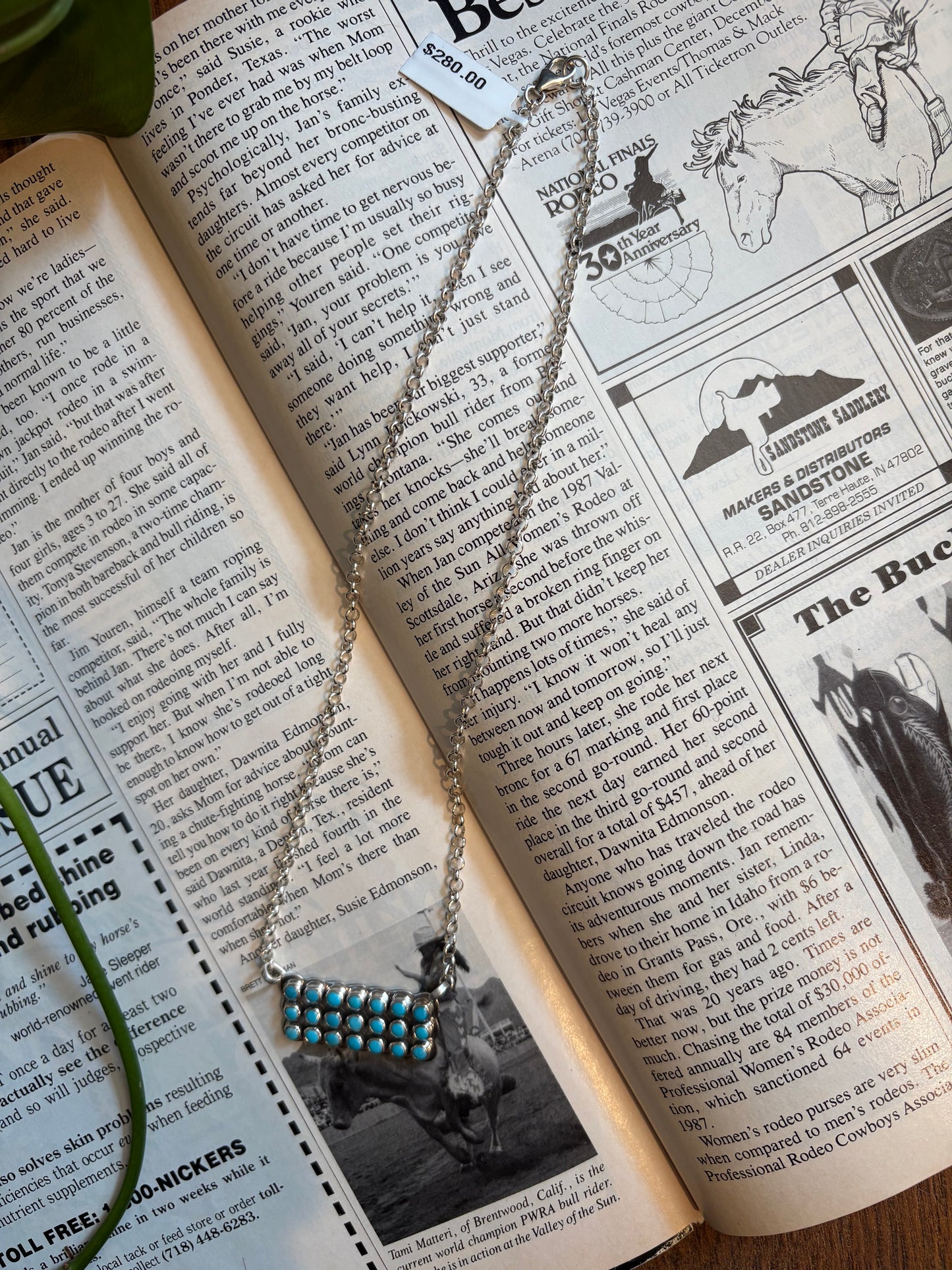 Snake Eye Turquoise Bar Necklace