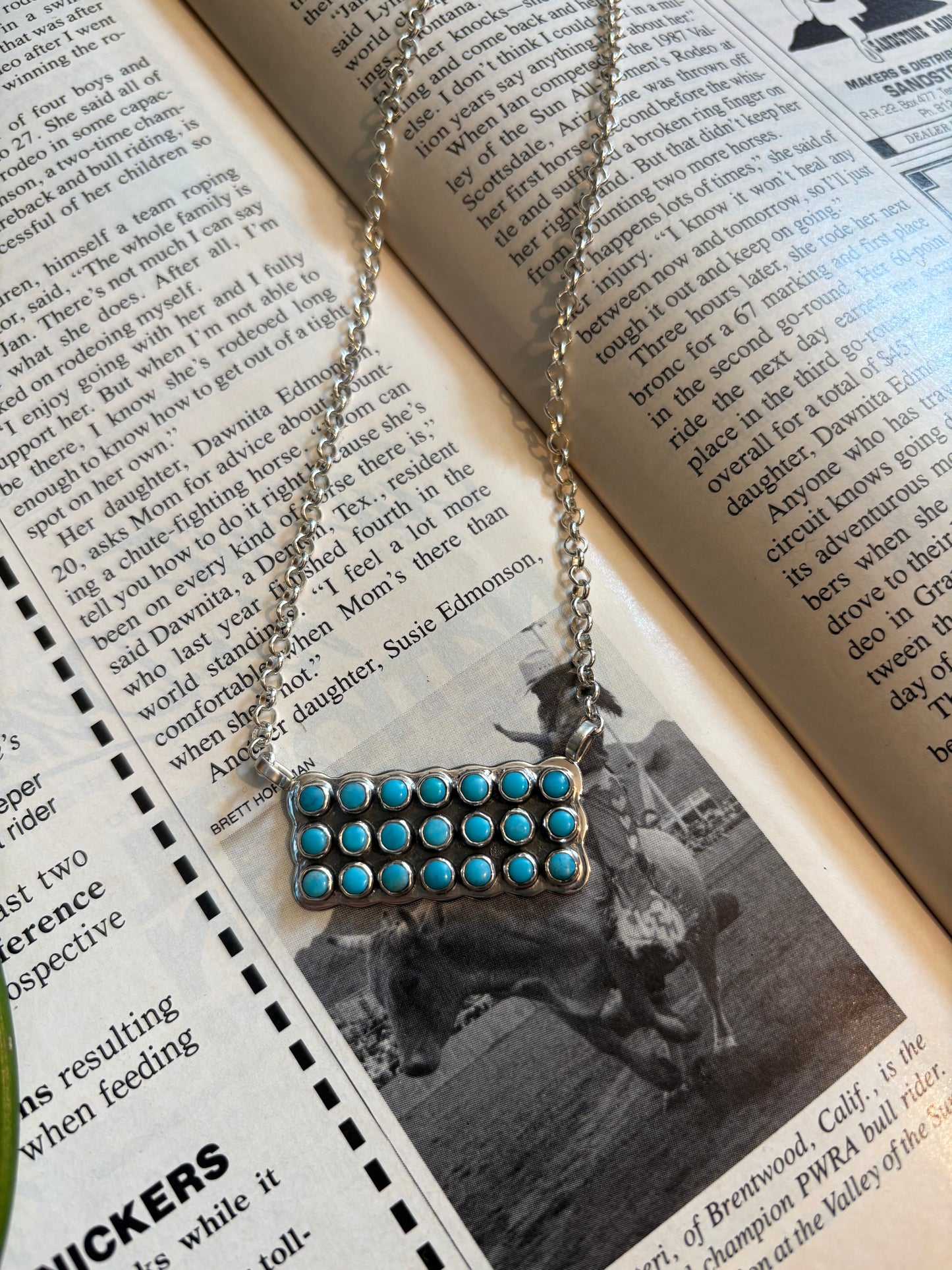 Snake Eye Turquoise Bar Necklace