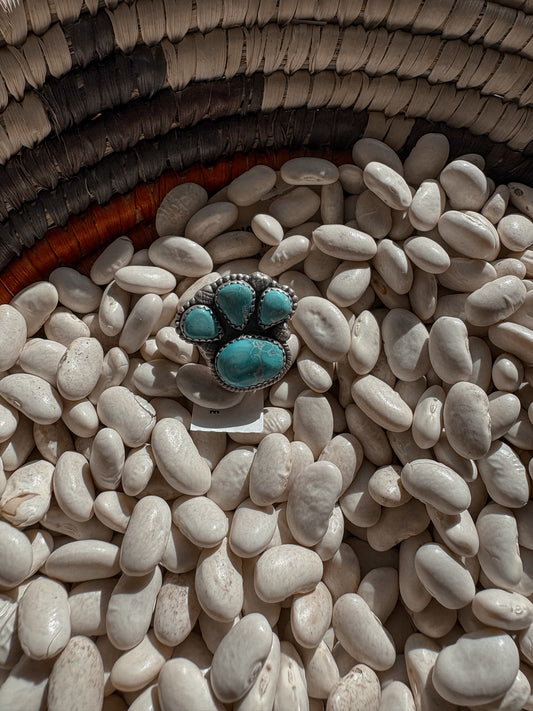 Blue Sonoran Cluster Ring