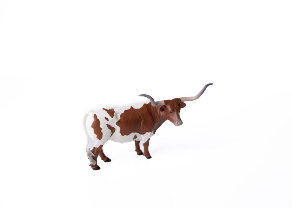 Little Buster Brown & White Longhorn